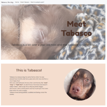 My Pet's Landing Page Preview